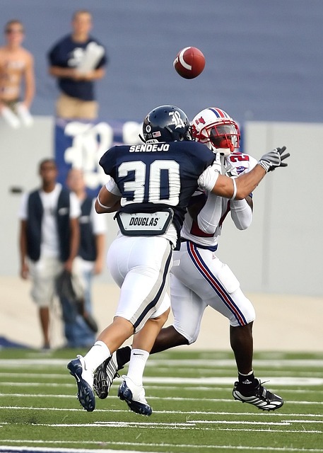 布莱顿的教 布莱顿的教