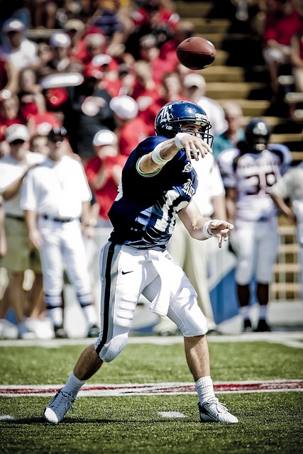 这不仅引起 这不仅引起