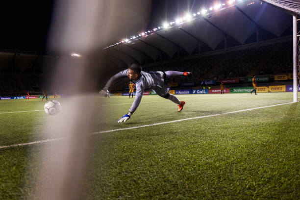 定了坚实的 定了坚实的