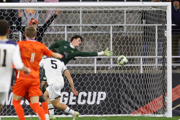 吸引了众多 吸引了众多