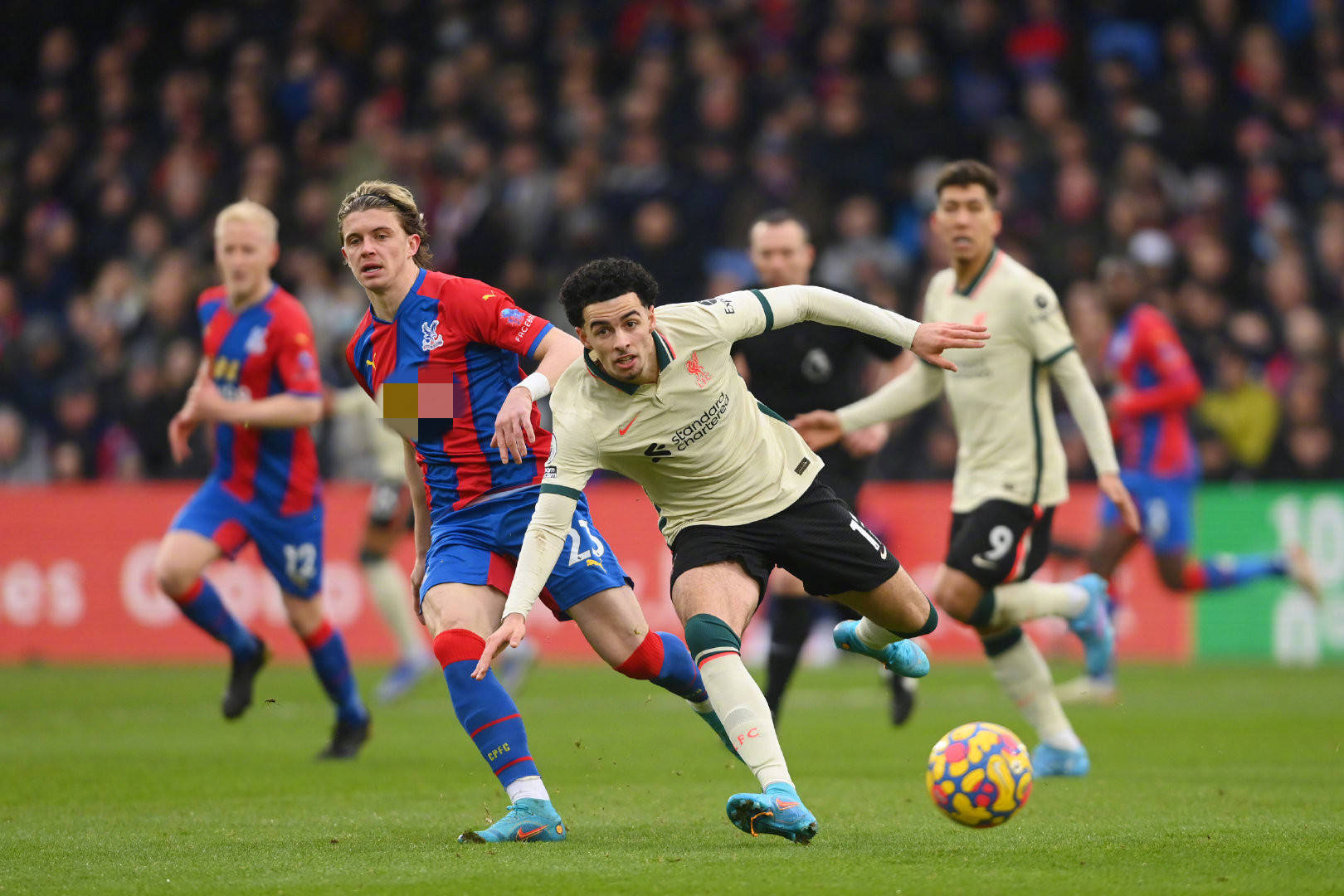 芬成为球迷 芬成为球迷